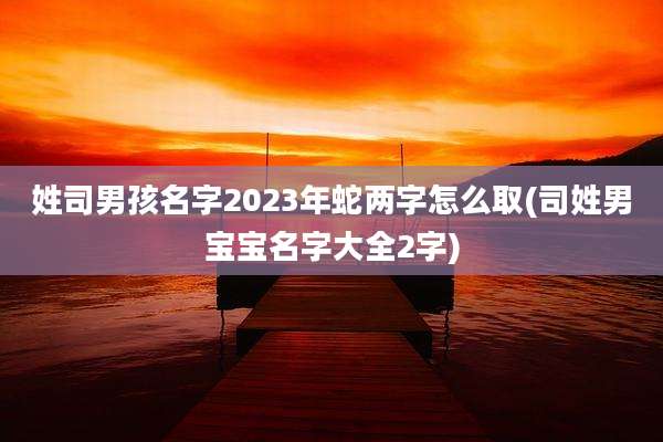姓司男孩名字2023年蛇两字怎么取(司姓男宝宝名字大全2字)