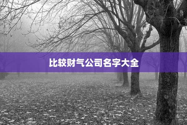 比较财气公司名字大全