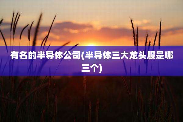 有名的半导体公司(半导体三大龙头股是哪三个)