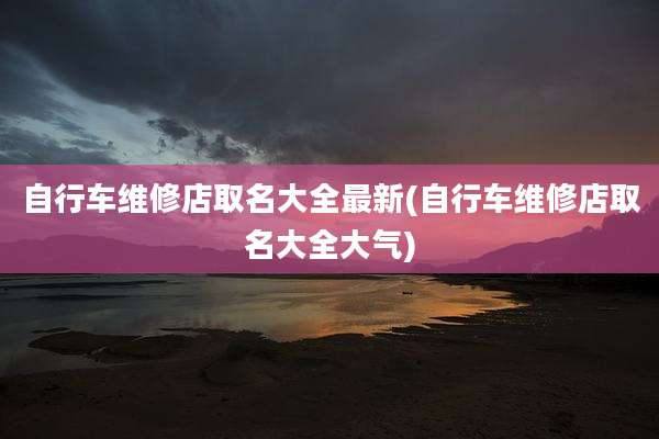 自行车维修店取名大全最新(自行车维修店取名大全大气)