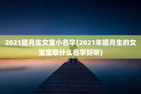 2021腊月生女宝小名字(2021年腊月生的女宝宝取什么名字好听)
