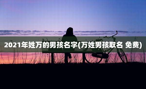 2021年姓万的男孩名字(万姓男孩取名 免费)