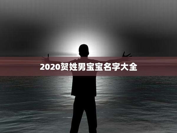 2020贺姓男宝宝名字大全