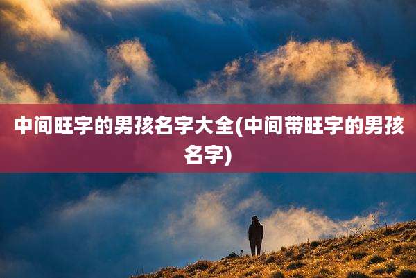 中间旺字的男孩名字大全(中间带旺字的男孩名字)
