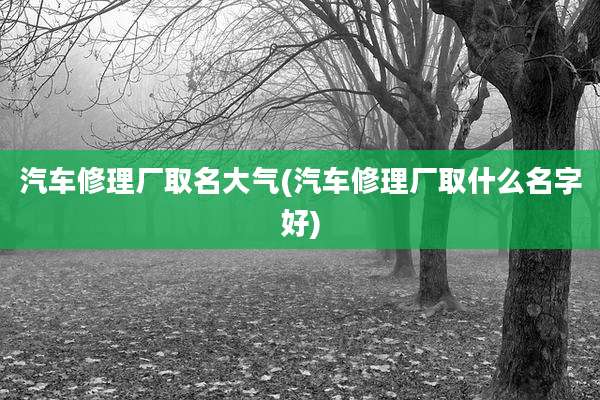 汽车修理厂取名大气(汽车修理厂取什么名字好)