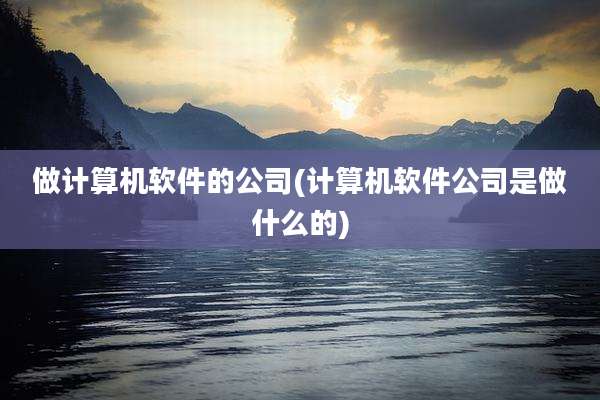 做计算机软件的公司(计算机软件公司是做什么的)