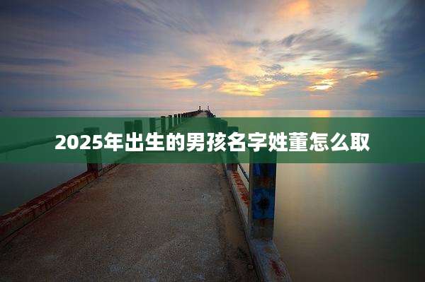 2025年出生的男孩名字姓董怎么取