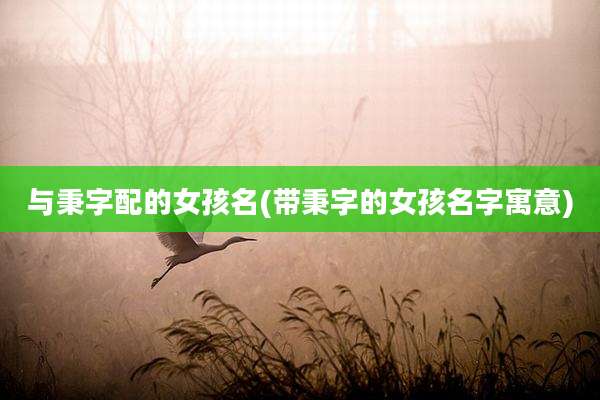 与秉字配的女孩名(带秉字的女孩名字寓意)