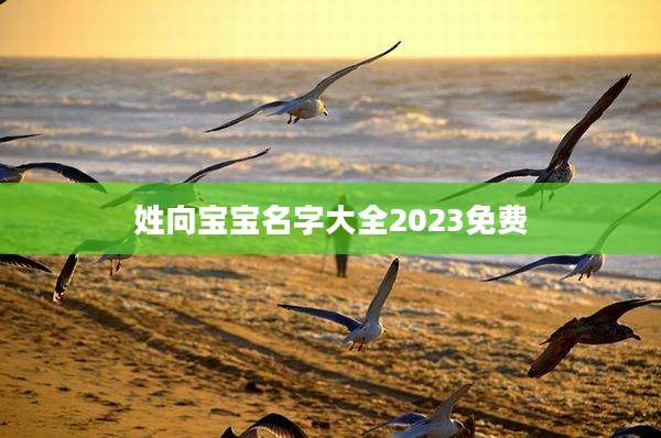 姓向宝宝名字大全2023免费
