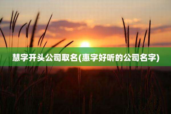 慧字开头公司取名(惠字好听的公司名字)