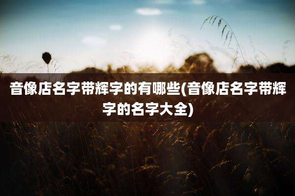 音像店名字带辉字的有哪些(音像店名字带辉字的名字大全)