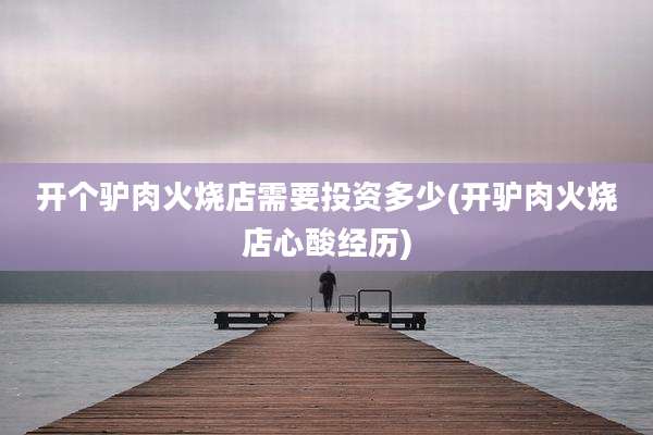开个驴肉火烧店需要投资多少(开驴肉火烧店心酸经历)