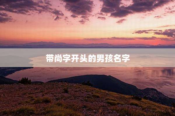带尚字开头的男孩名字