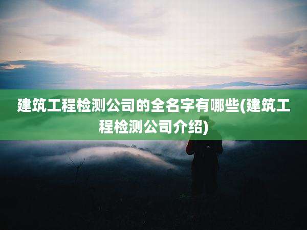 建筑工程检测公司的全名字有哪些(建筑工程检测公司介绍)