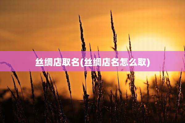 丝绸店取名(丝绸店名怎么取)
