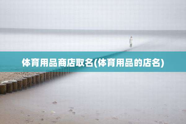 体育用品商店取名(体育用品的店名)
