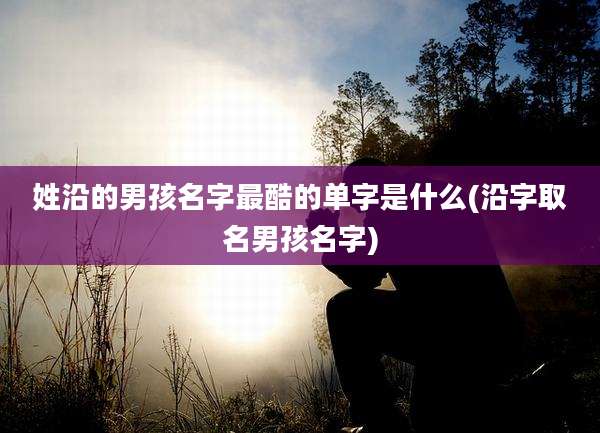 姓沿的男孩名字最酷的单字是什么(沿字取名男孩名字)