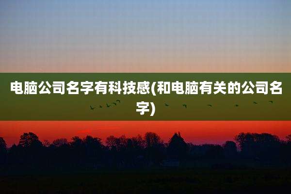 电脑公司名字有科技感(和电脑有关的公司名字)