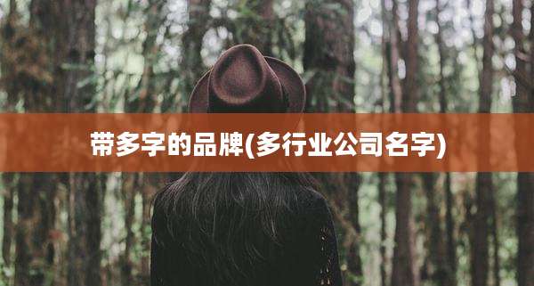 带多字的品牌(多行业公司名字)