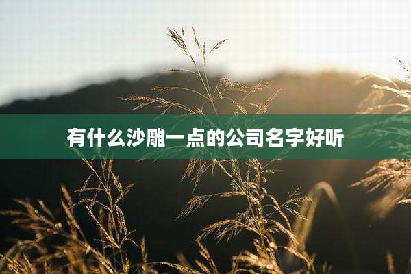有什么沙雕一点的公司名字好听