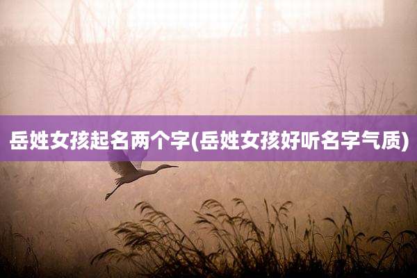岳姓女孩起名两个字(岳姓女孩好听名字气质)
