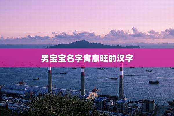 男宝宝名字寓意旺的汉字