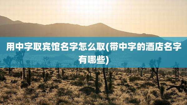 用中字取宾馆名字怎么取(带中字的酒店名字有哪些)
