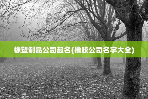 橡塑制品公司起名(橡胶公司名字大全)
