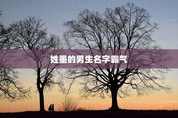 姓墨的男生名字霸气