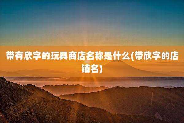 带有欣字的玩具商店名称是什么(带欣字的店铺名)