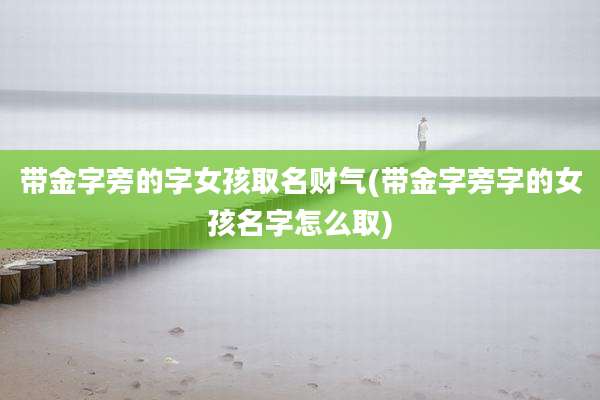 带金字旁的字女孩取名财气(带金字旁字的女孩名字怎么取)