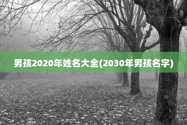 男孩2020年姓名大全(2030年男孩名字)