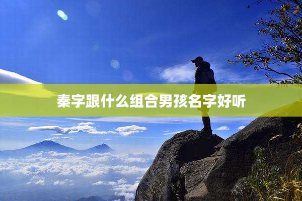 秦字跟什么组合男孩名字好听
