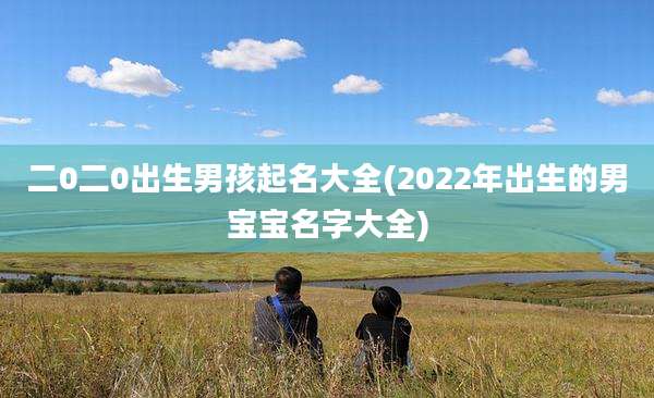 二0二0出生男孩起名大全(2022年出生的男宝宝名字大全)