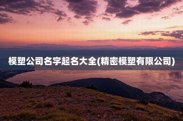 模塑公司名字起名大全(精密模塑有限公司)