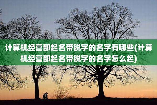 计算机经营部起名带锐字的名字有哪些(计算机经营部起名带锐字的名字怎么起)