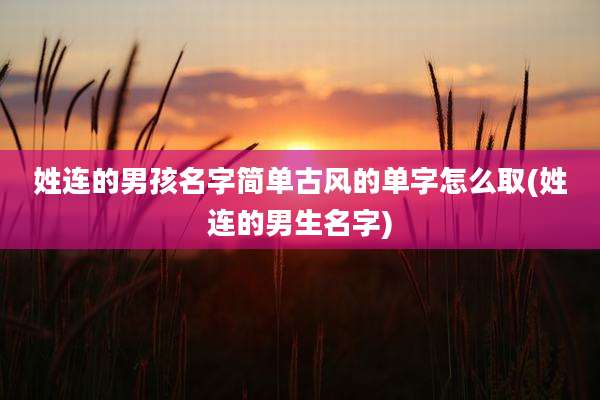 姓连的男孩名字简单古风的单字怎么取(姓连的男生名字)