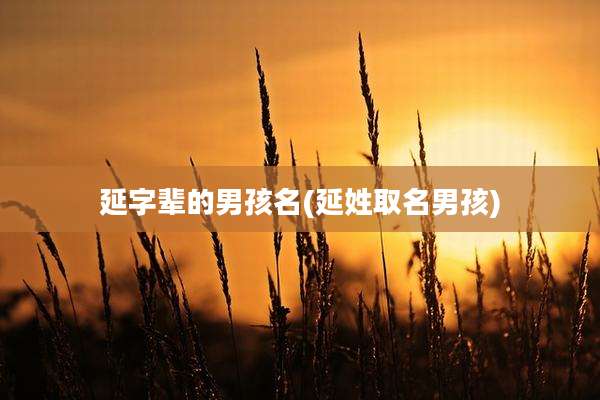 延字辈的男孩名(延姓取名男孩)