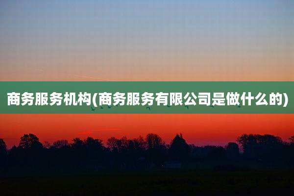 商务服务机构(商务服务有限公司是做什么的)