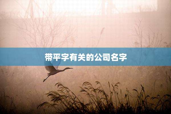 带平字有关的公司名字