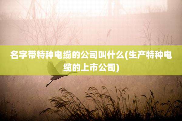 名字带特种电缆的公司叫什么(生产特种电缆的上市公司)