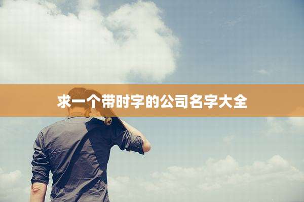 求一个带时字的公司名字大全