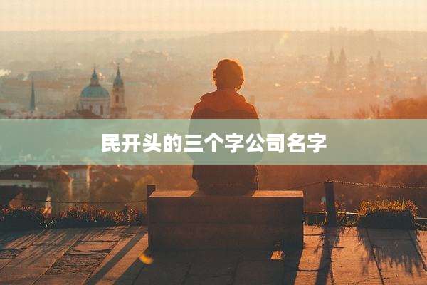 民开头的三个字公司名字