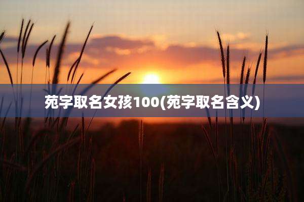 苑字取名女孩100(苑字取名含义)