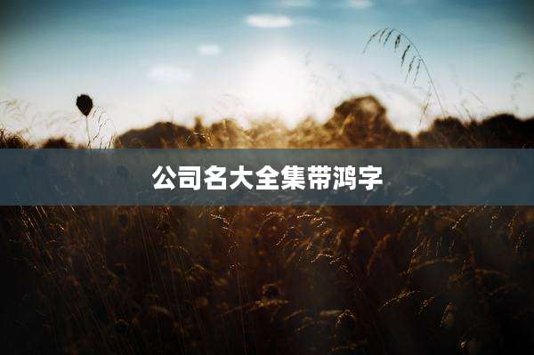 公司名大全集带鸿字