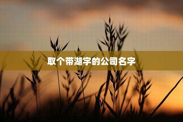 取个带湖字的公司名字