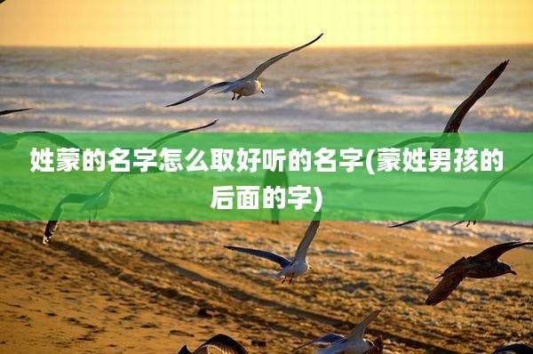 姓蒙的名字怎么取好听的名字(蒙姓男孩的后面的字)