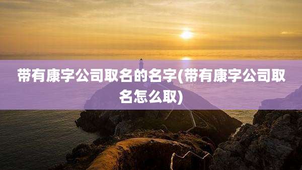 带有康字公司取名的名字(带有康字公司取名怎么取)