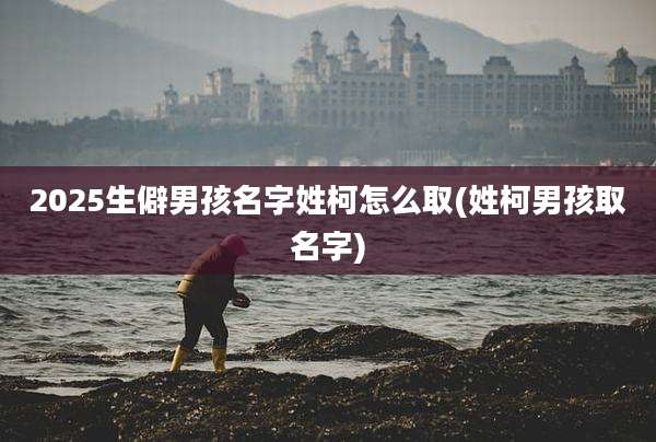 2025生僻男孩名字姓柯怎么取(姓柯男孩取名字)