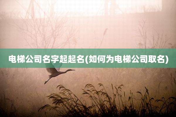 电梯公司名字起起名(如何为电梯公司取名)
